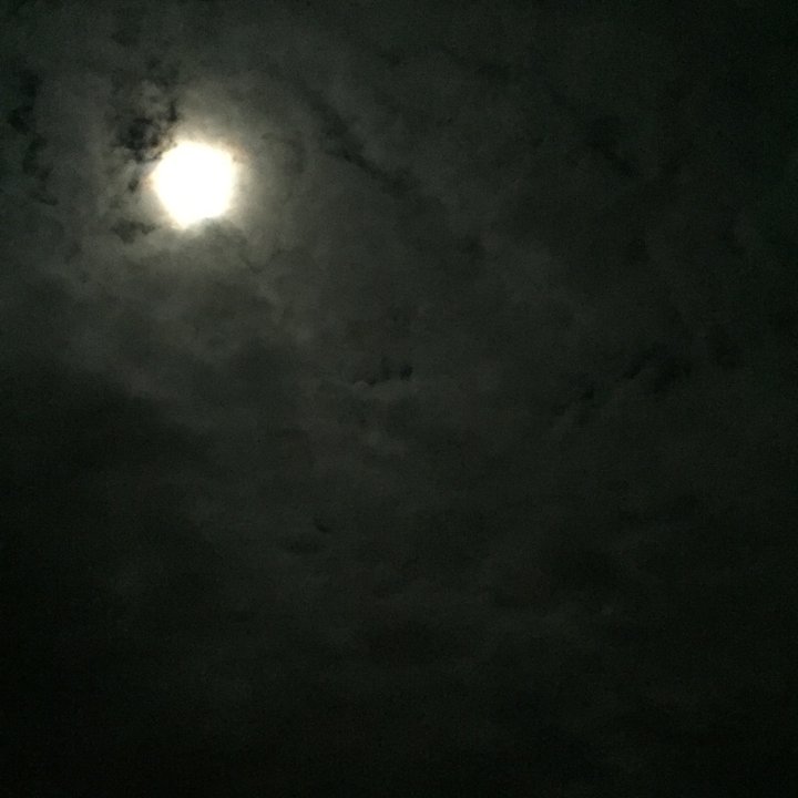 My Crowdsourcing Posts