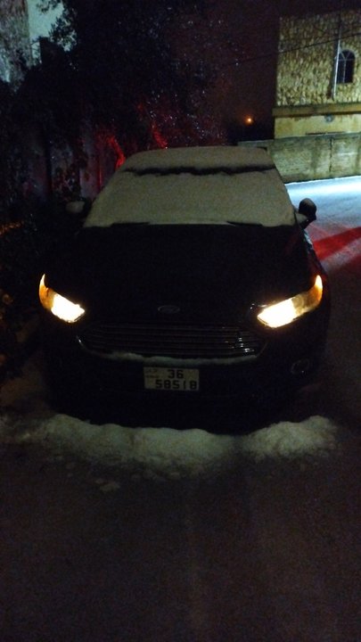 مشاركاتي في أنت الراصد