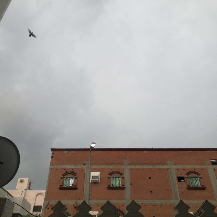 My Crowdsourcing Posts