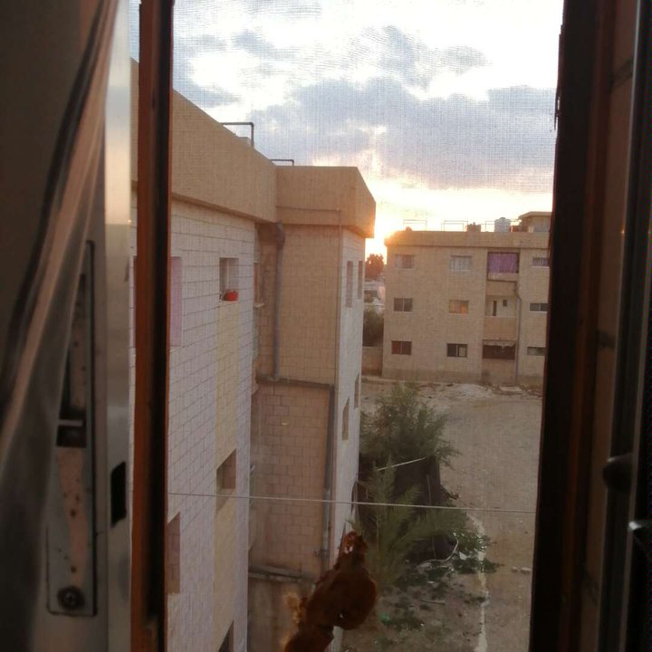 مشاركاتي في أنت الراصد