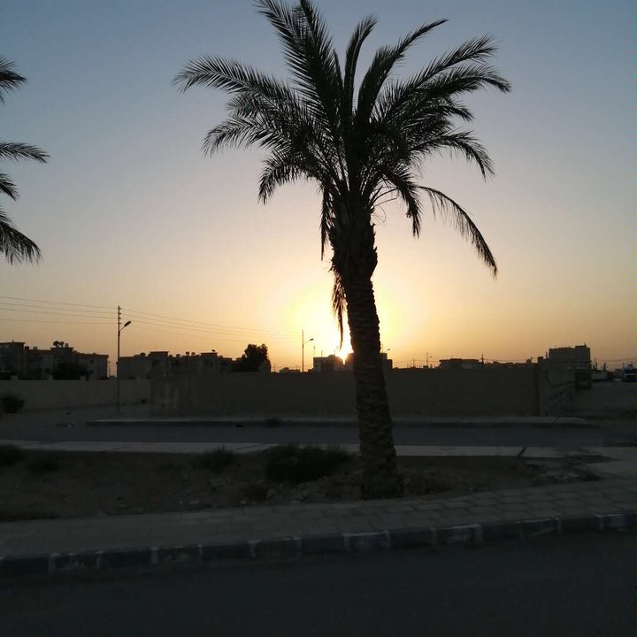 مشاركاتي في أنت الراصد