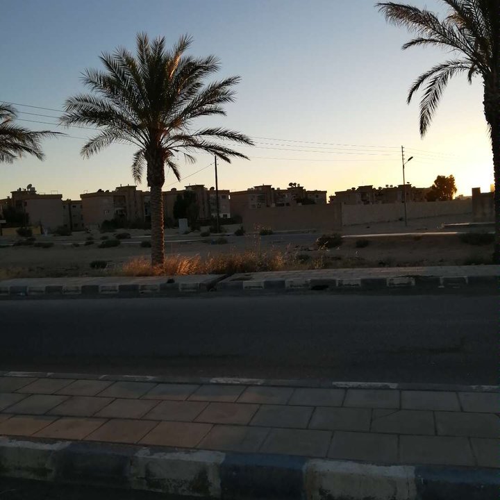 مشاركاتي في أنت الراصد