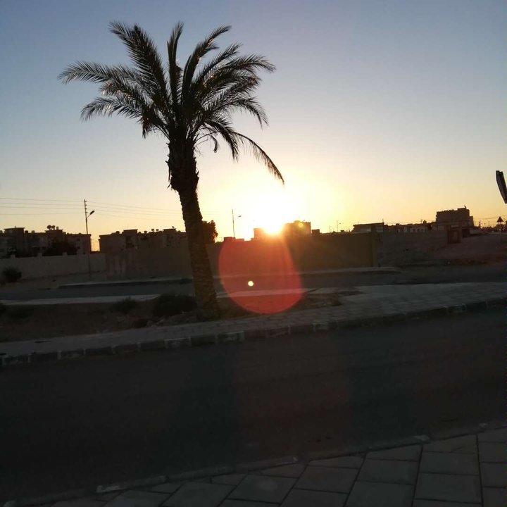 مشاركاتي في أنت الراصد