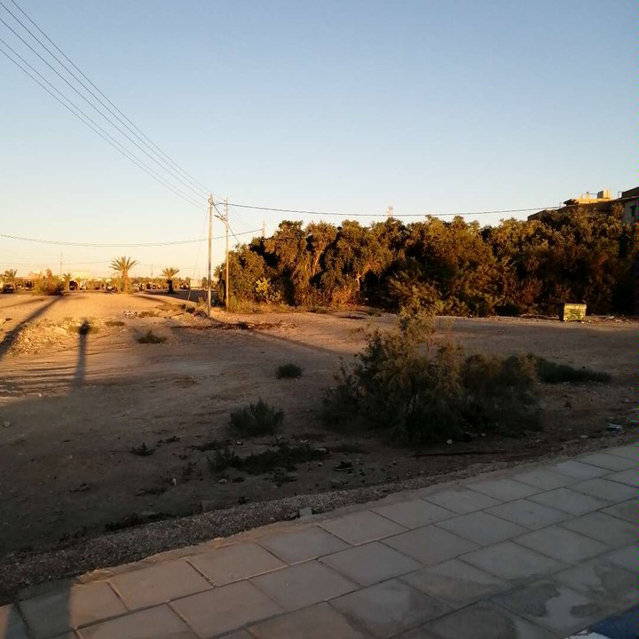 مشاركاتي في أنت الراصد