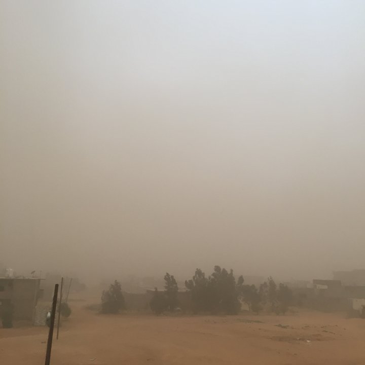 مشاركاتي في أنت الراصد