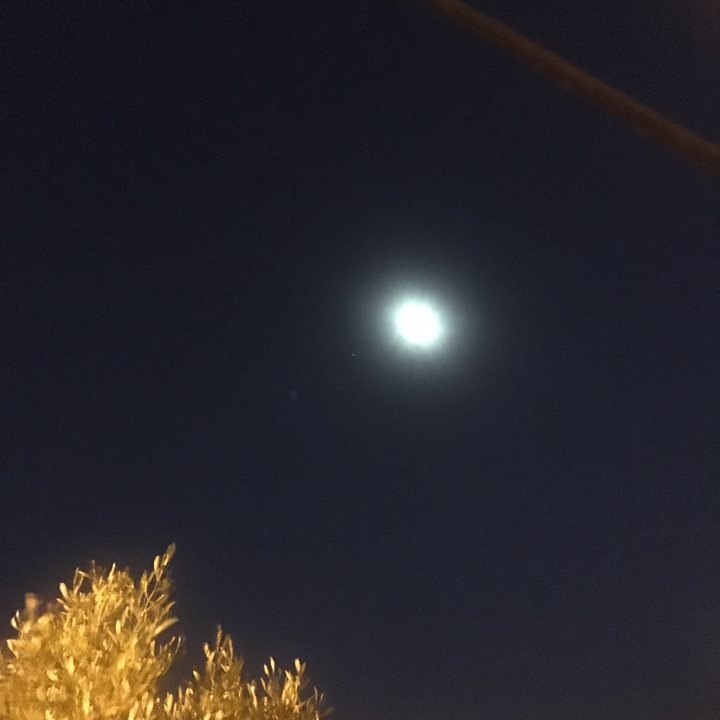 مشاركاتي في أنت الراصد