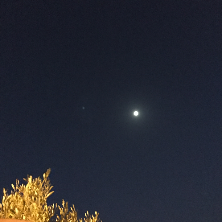 مشاركاتي في أنت الراصد