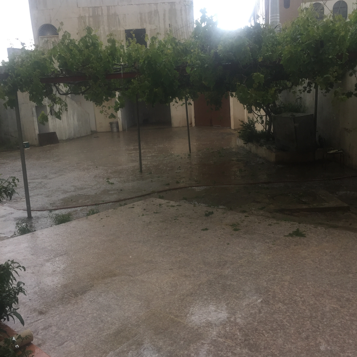 مشاركاتي في أنت الراصد