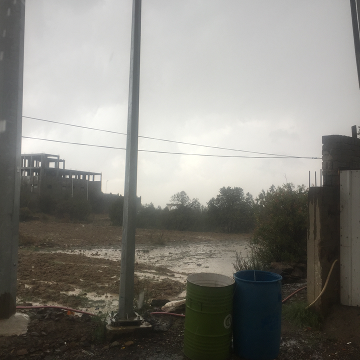 مشاركاتي في أنت الراصد