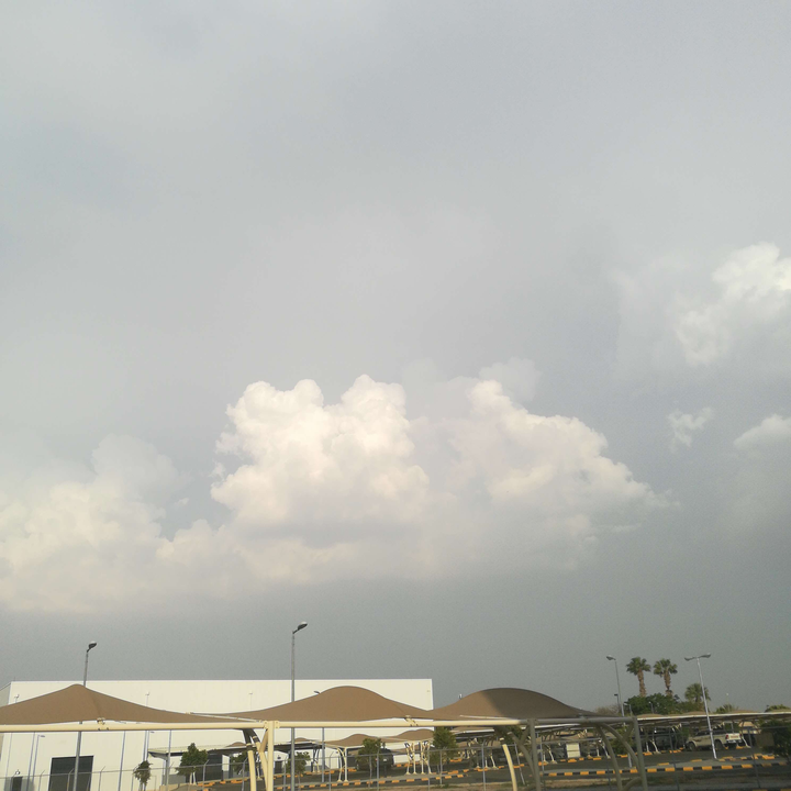 مشاركاتي في أنت الراصد