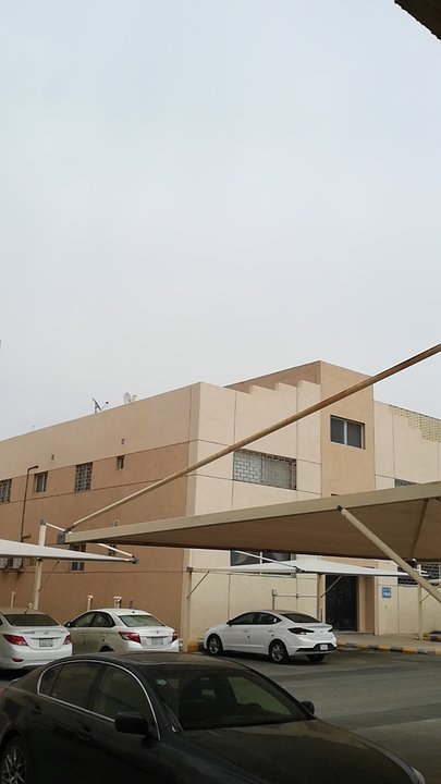 مشاركاتي في أنت الراصد