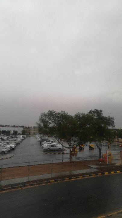 مشاركاتي في أنت الراصد