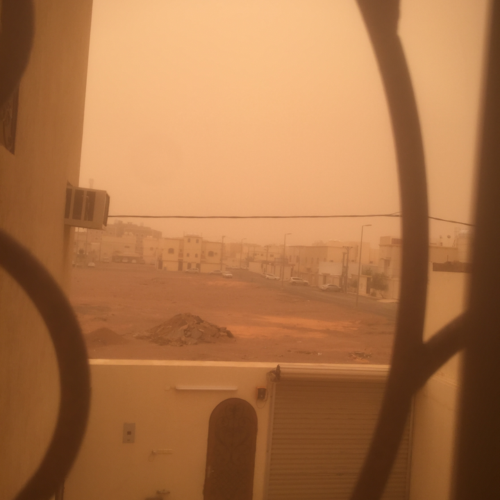 مشاركاتي في أنت الراصد