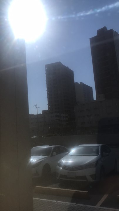 مشاركاتي في أنت الراصد