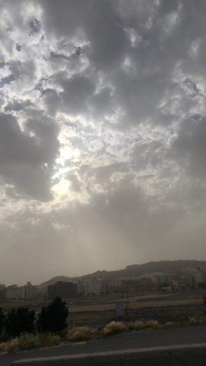 مشاركاتي في أنت الراصد