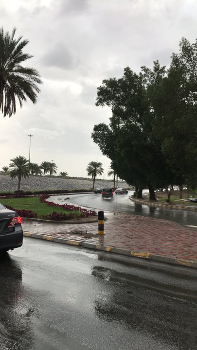 مشاركاتي في أنت الراصد