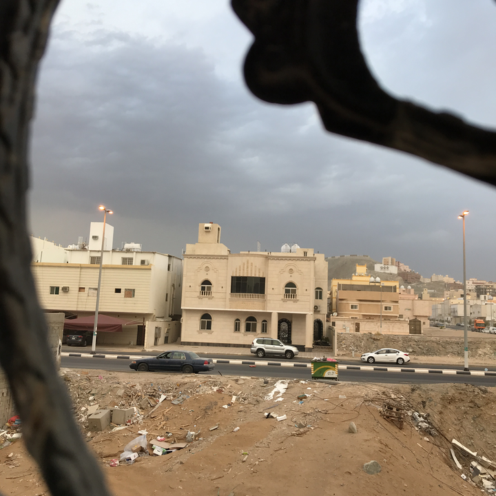 مشاركاتي في أنت الراصد