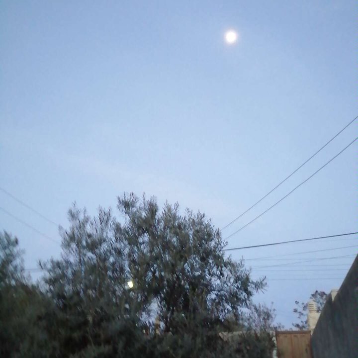 مشاركاتي في أنت الراصد