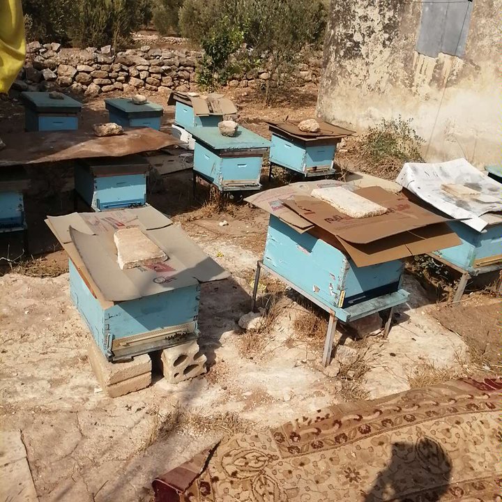 مشاركاتي في أنت الراصد