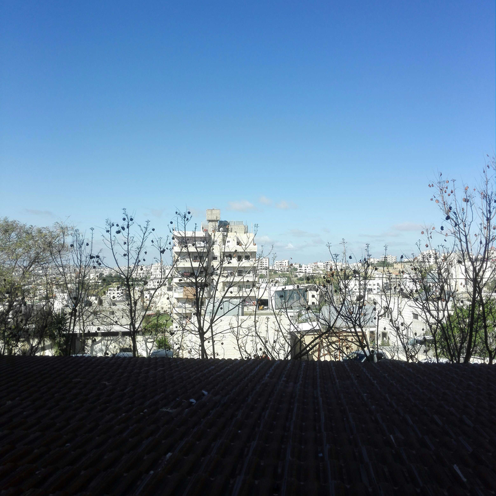 مشاركاتي في أنت الراصد