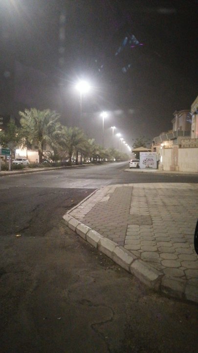 مشاركاتي في أنت الراصد