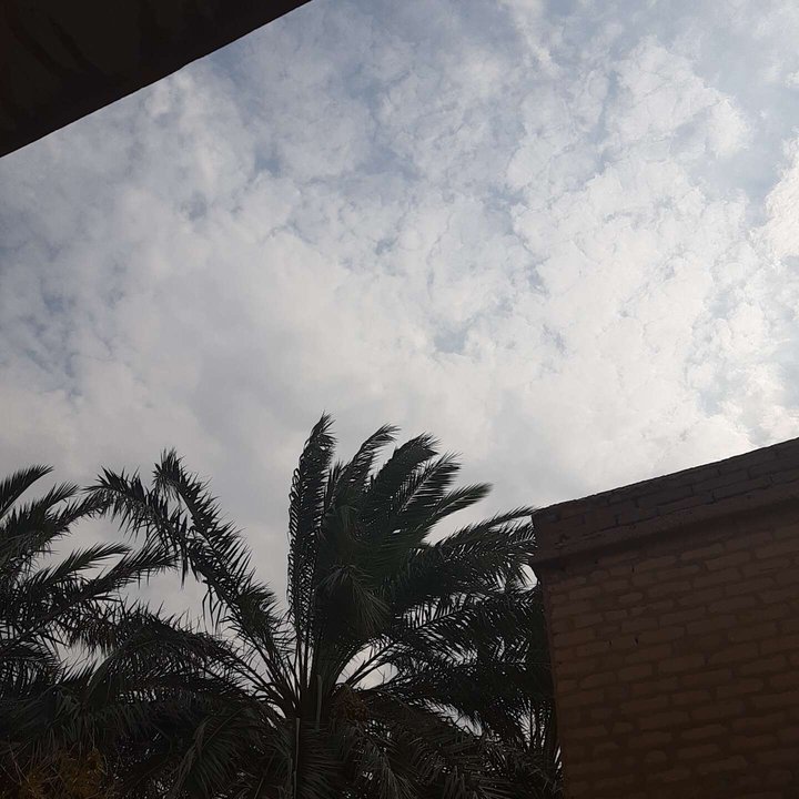 مشاركاتي في أنت الراصد