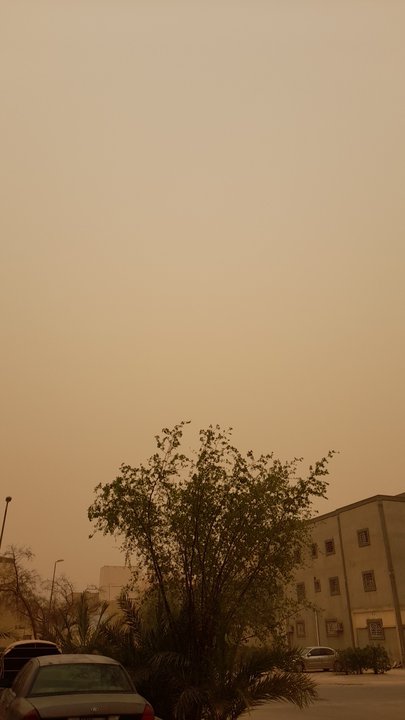 مشاركاتي في أنت الراصد