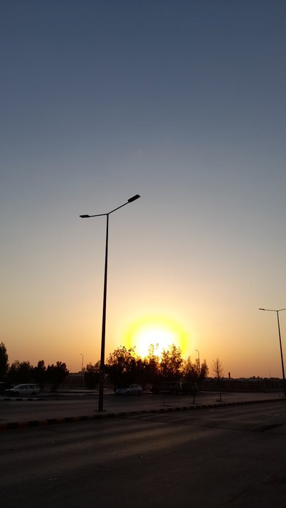 مشاركاتي في أنت الراصد