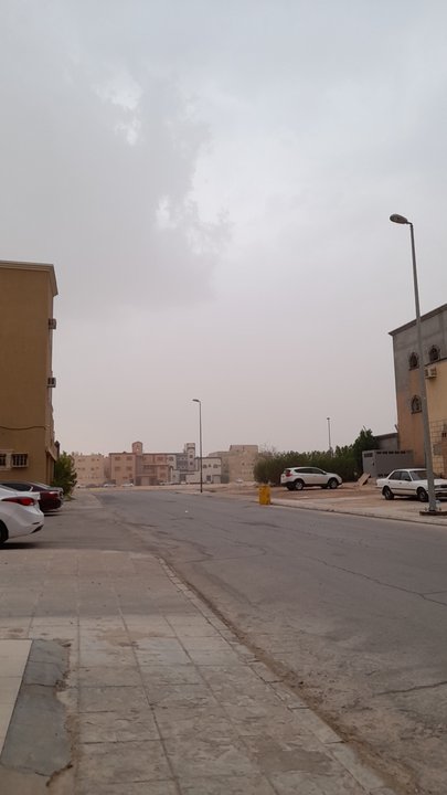 مشاركاتي في أنت الراصد