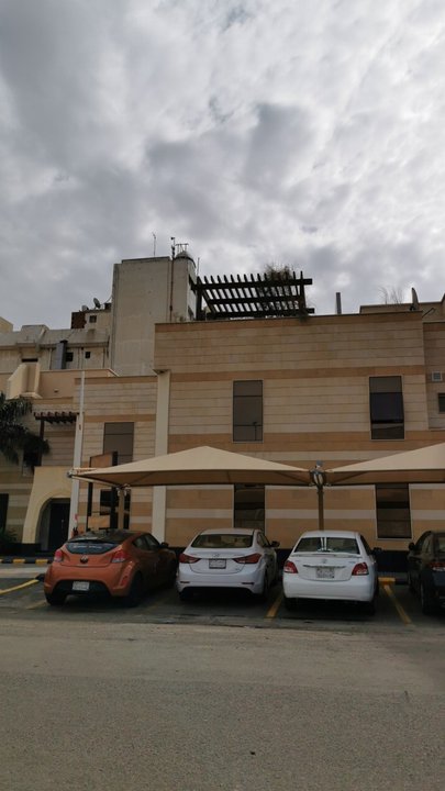 مشاركاتي في أنت الراصد