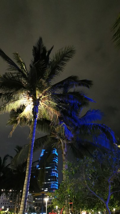 مشاركاتي في أنت الراصد