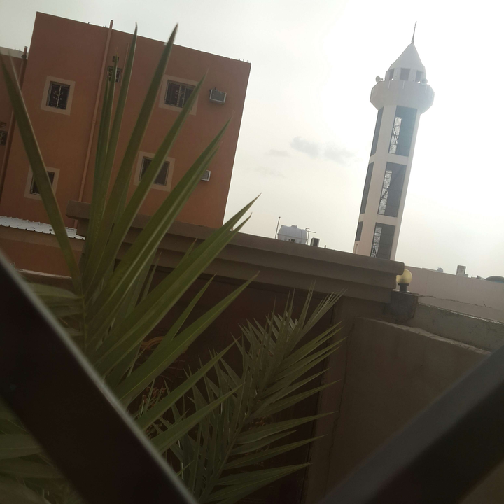 مشاركاتي في أنت الراصد