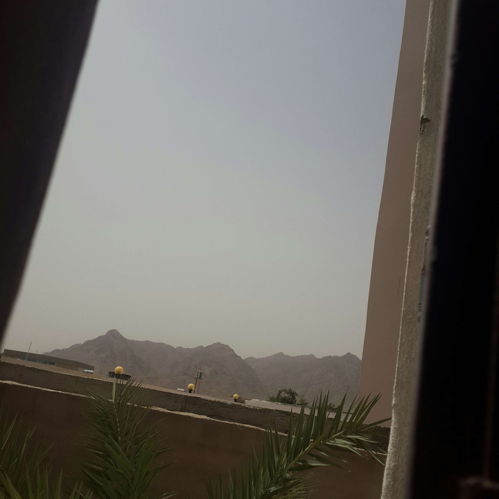 مشاركاتي في أنت الراصد