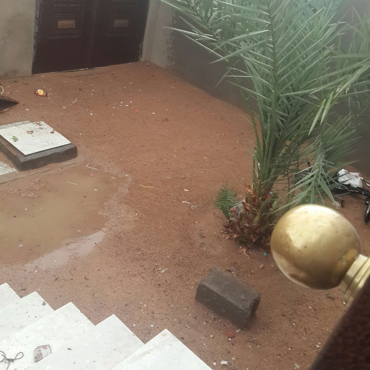 مشاركاتي في أنت الراصد