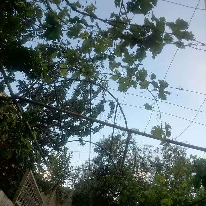 My Crowdsourcing Posts