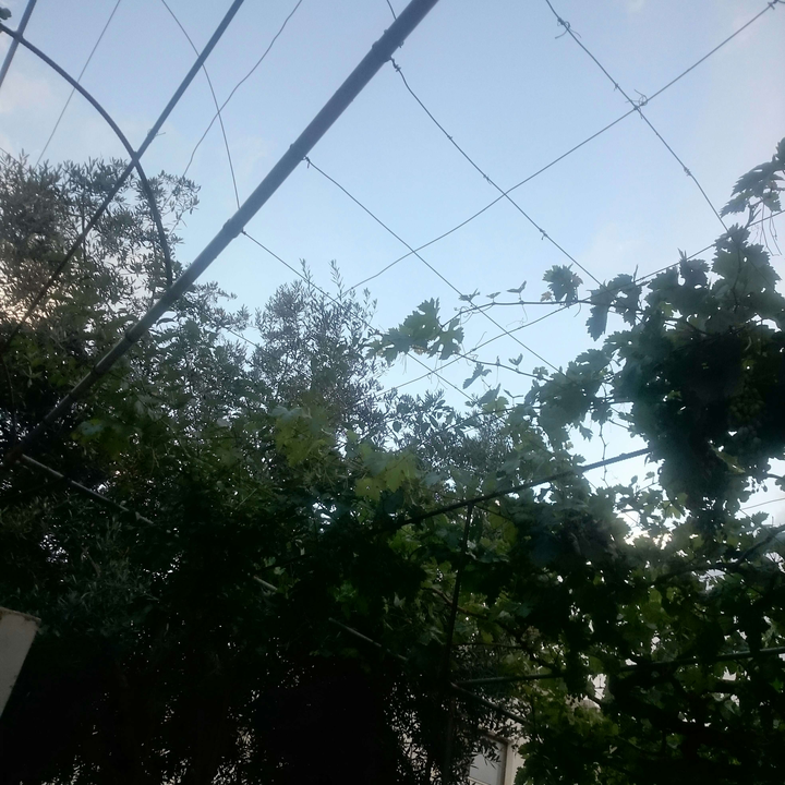 My Crowdsourcing Posts