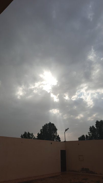 مشاركاتي في أنت الراصد