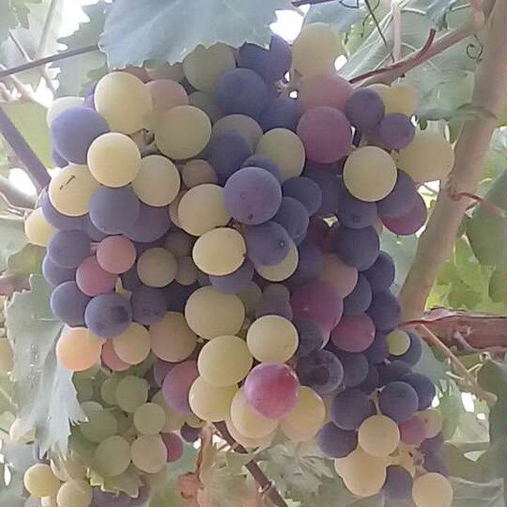 My Crowdsourcing Posts