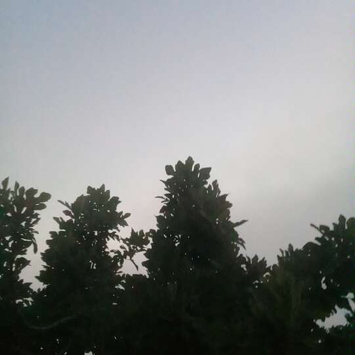 My Crowdsourcing Posts