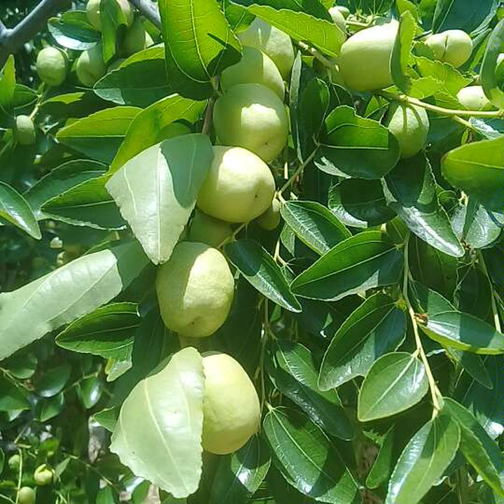 My Crowdsourcing Posts