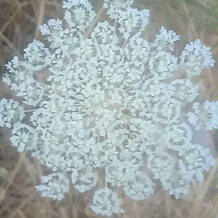 My Crowdsourcing Posts