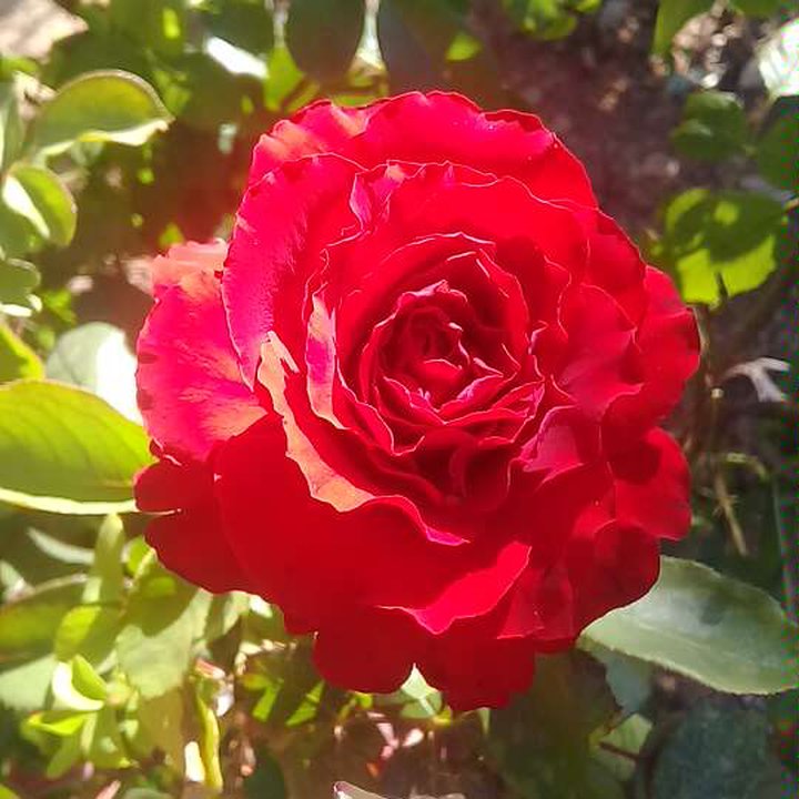 My Crowdsourcing Posts