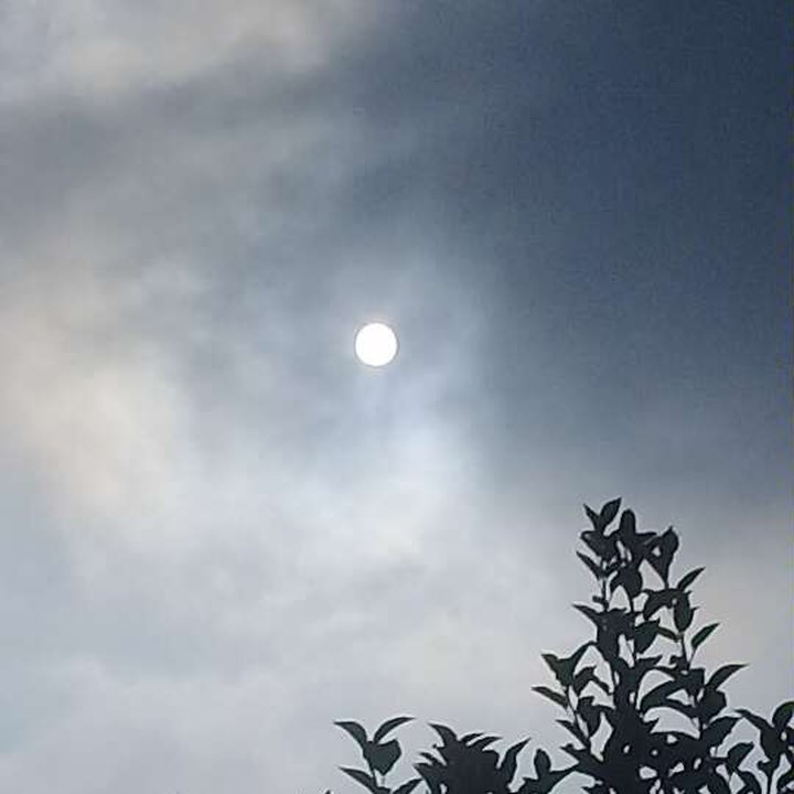 My Crowdsourcing Posts