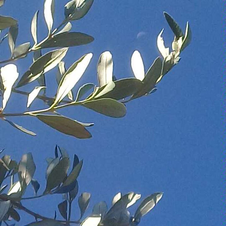 My Crowdsourcing Posts