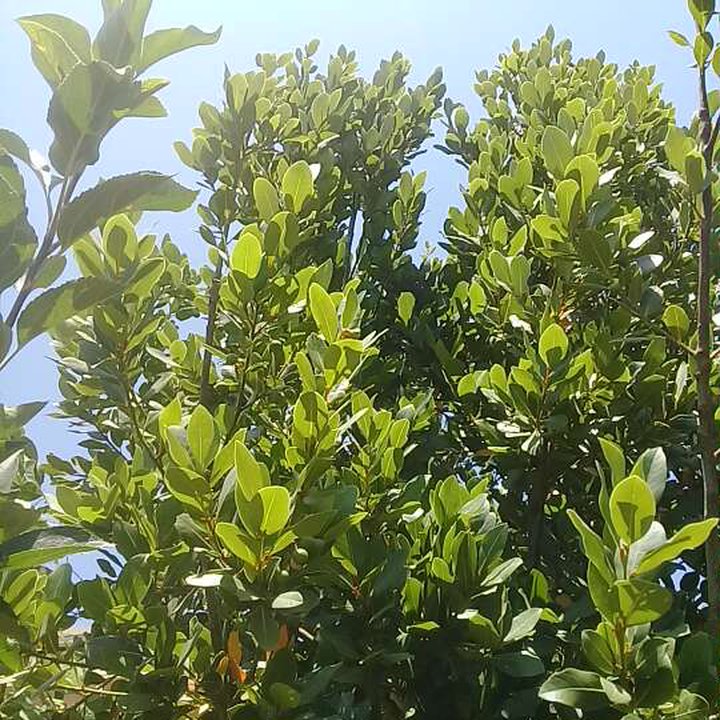 My Crowdsourcing Posts