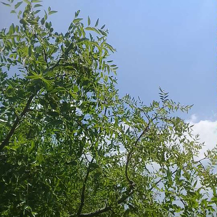 My Crowdsourcing Posts