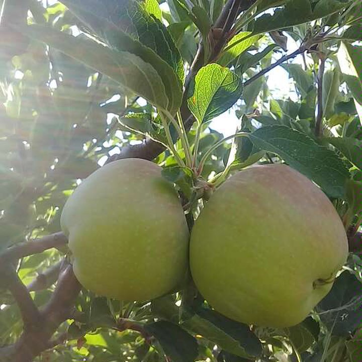 My Crowdsourcing Posts