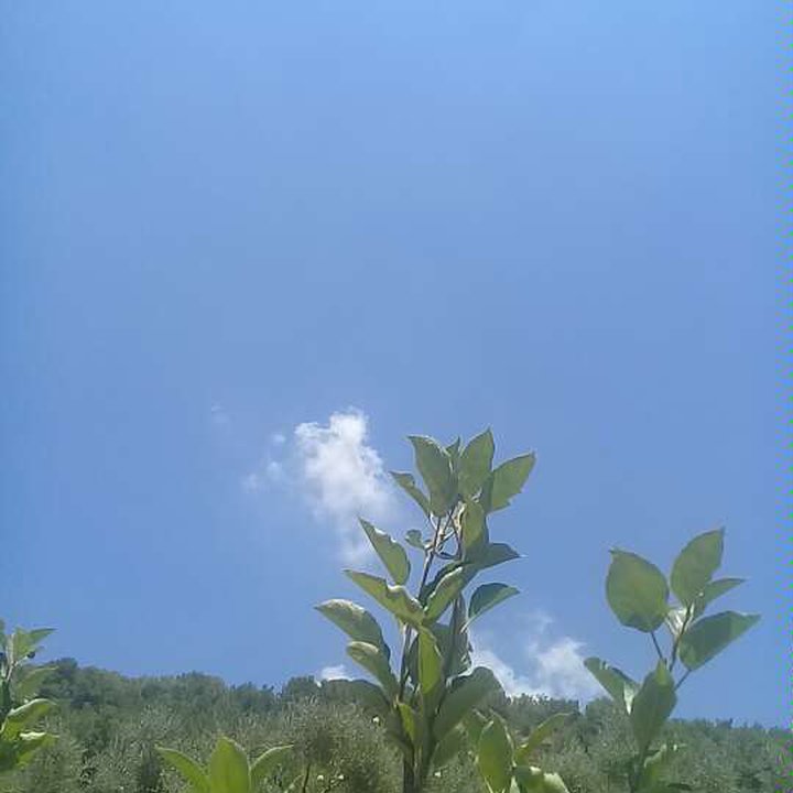 My Crowdsourcing Posts