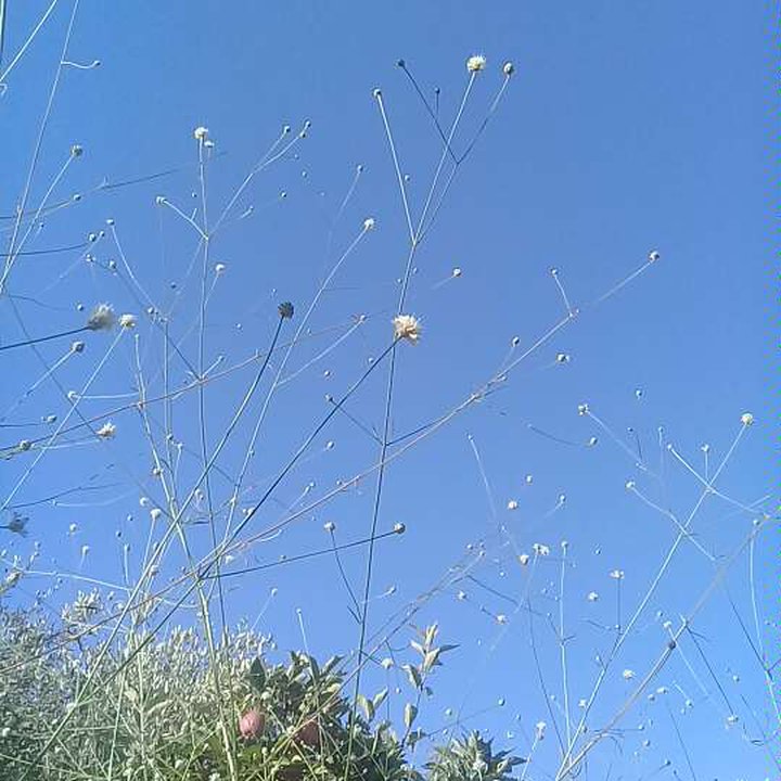 My Crowdsourcing Posts