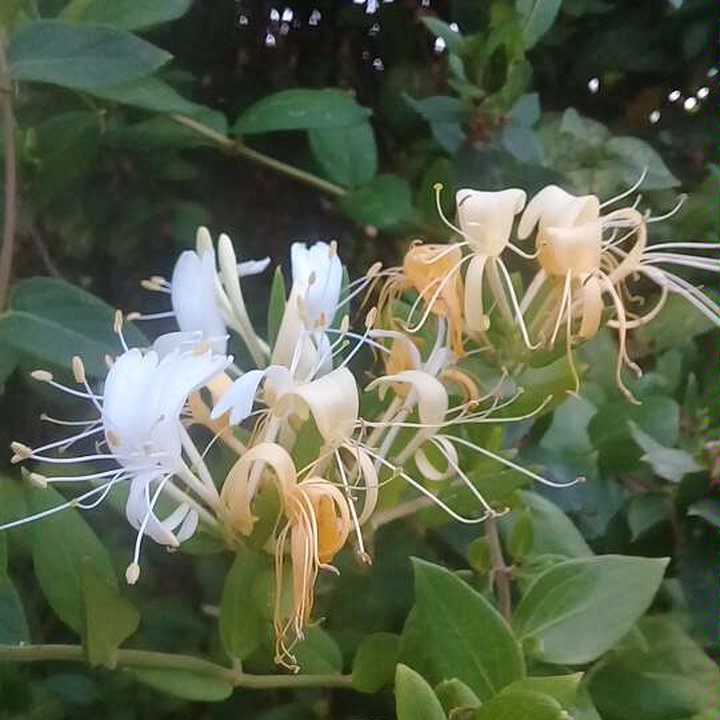 My Crowdsourcing Posts